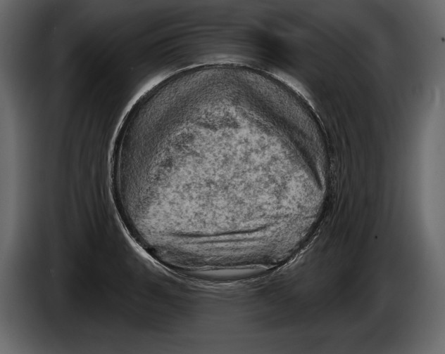 X0000084561135200703231753