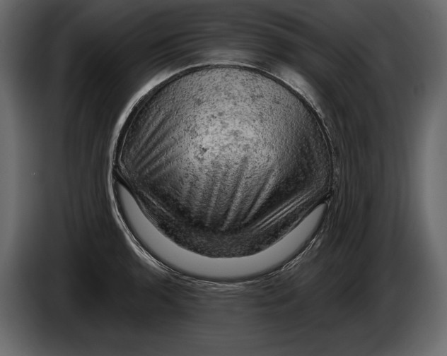 X0000084561136200703231753