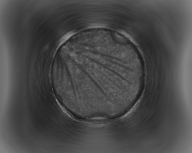 X0000084561137200703231753