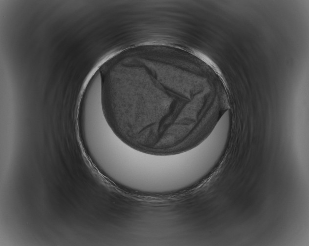 X0000084561138200703231753