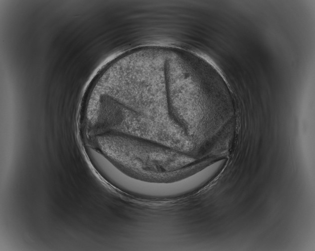 X0000084561139200703231753