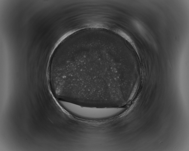 X0000084561141200703231753