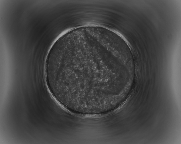 X0000084561142200703231753