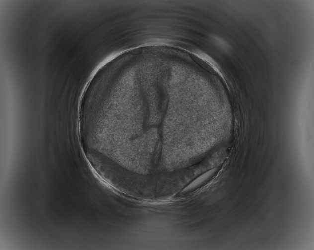 X0000084561143200703231753