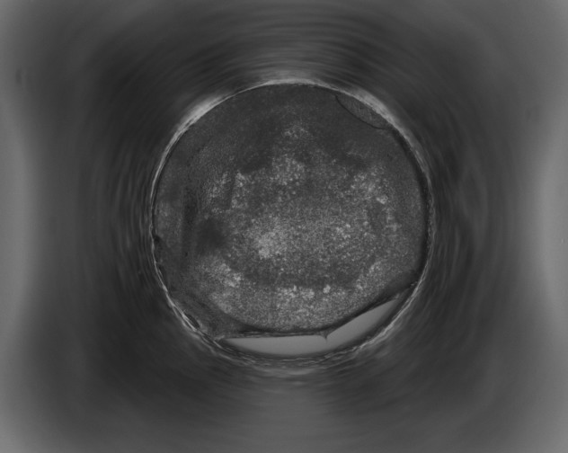 X0000084561145200703231753