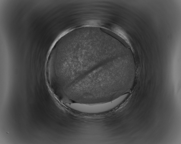 X0000084561146200703231753