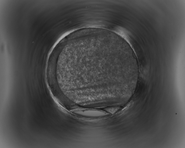 X0000084561147200703231753