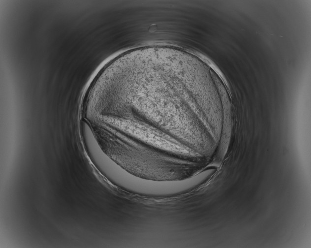 X0000084561148200703231753