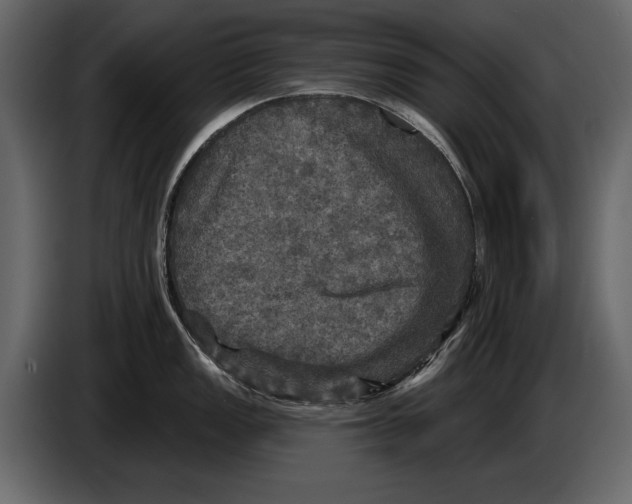 X0000084561149200703231753