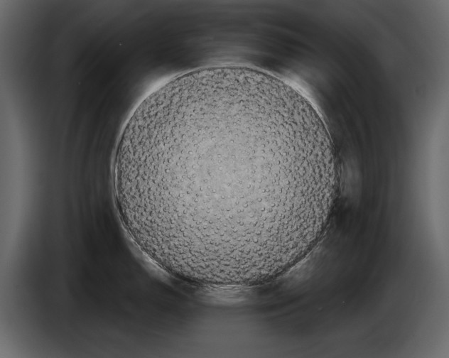 X0000084561150200703231753