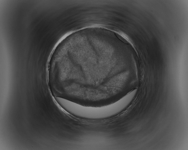 X0000084561151200703231753