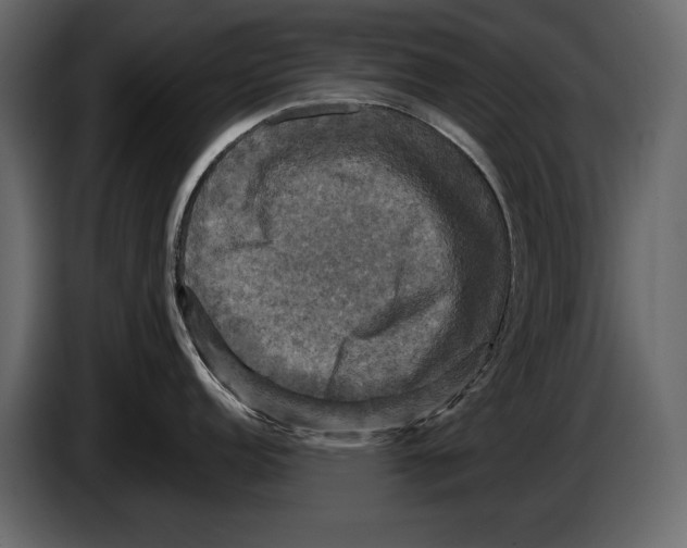 X0000084561152200703231753