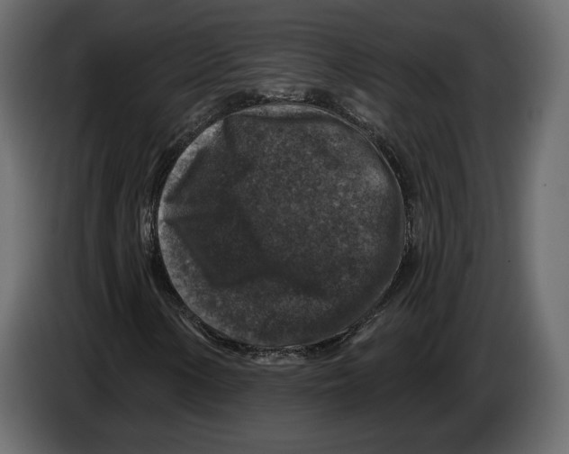 X0000084561154200703231752