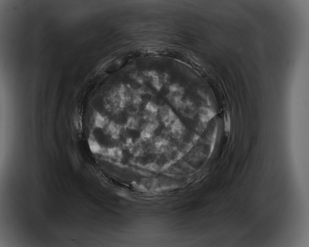 X0000084561155200703231752