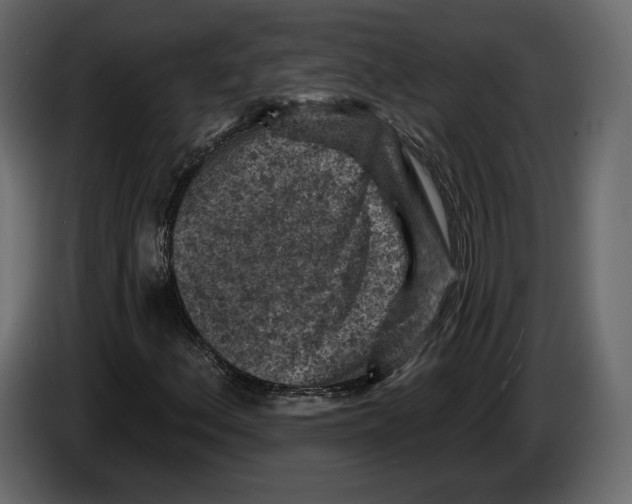 X0000084561156200703231752