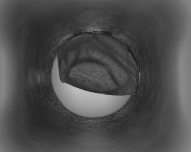 X0000084561157200703231752