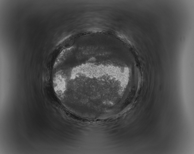 X0000084561158200703231752