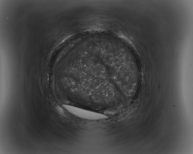 X0000084561159200703231752