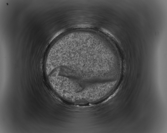 X0000084561162200703231752