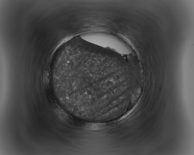 X0000084561163200703231752