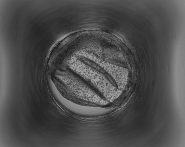 X0000084561164200703231752