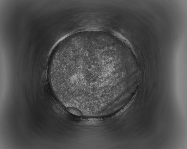 X0000084561166200703231752