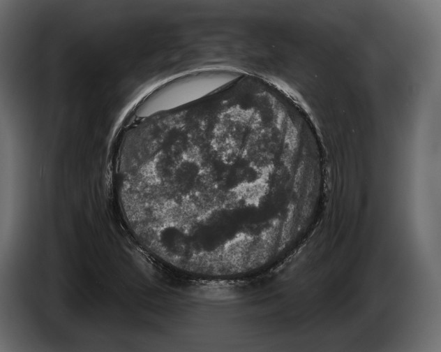 X0000084561167200703231752