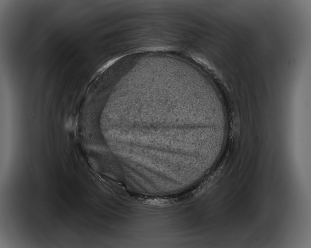 X0000084561169200703231752