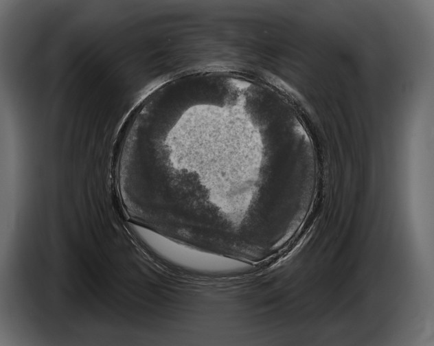 X0000084561170200703231752