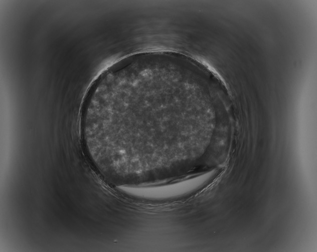 X0000084561173200703231752