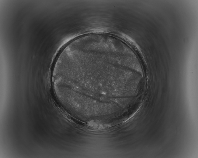 X0000084561174200703231752