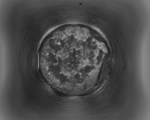 X0000084561175200703231752