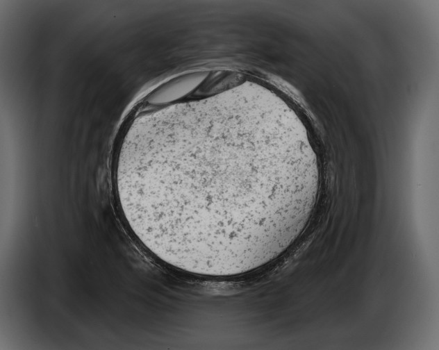 X0000084561176200703231752