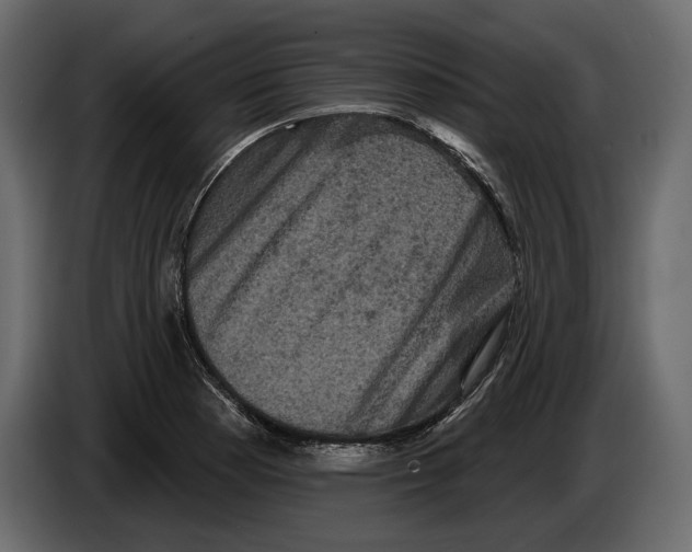 X0000084561177200703231752