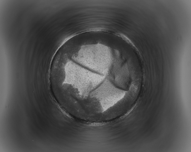 X0000084561178200703231752