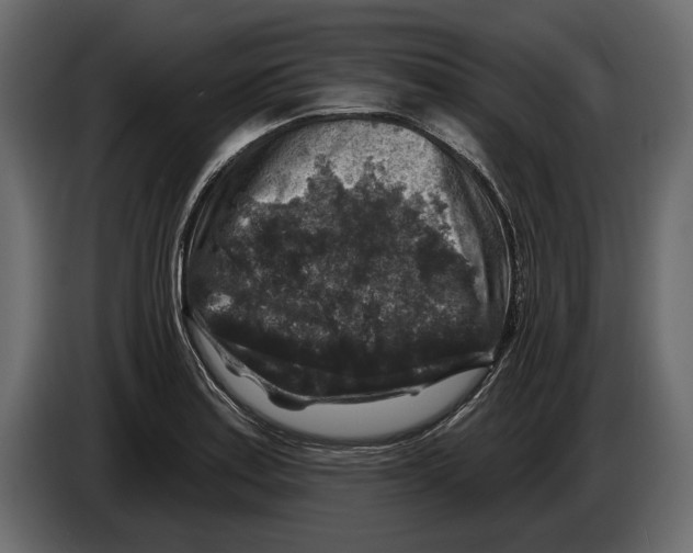 X0000084561179200703231752