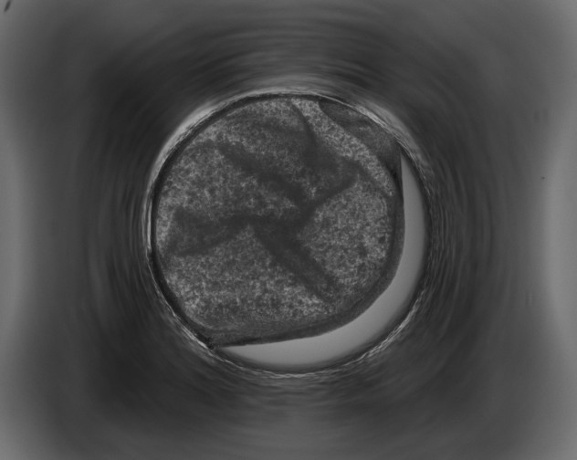 X0000084561180200703231752