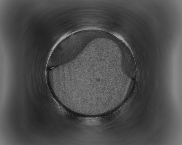 X0000084561181200703231752