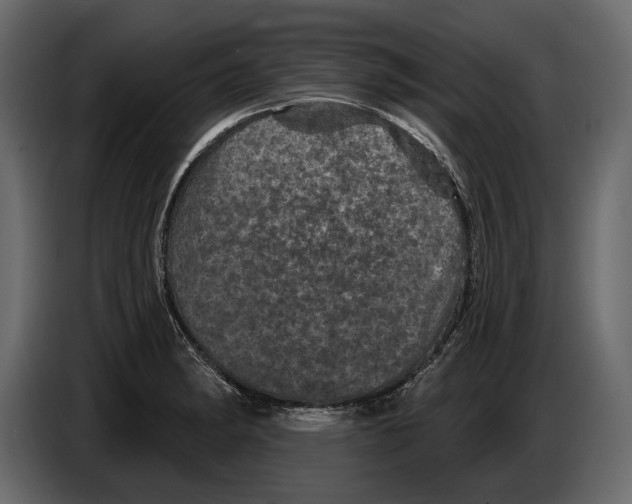 X0000084561182200703231752