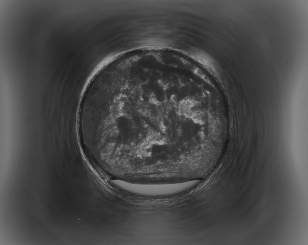 X0000084561183200703231752