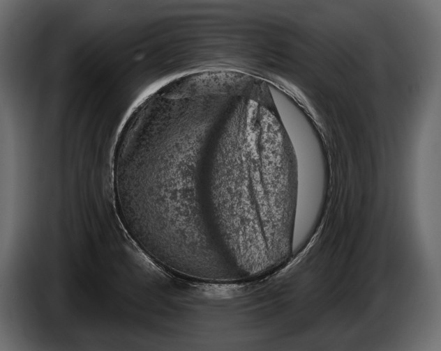 X0000084561184200703231752