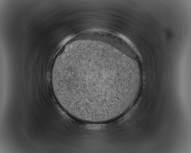 X0000084561185200703231752