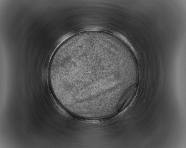 X0000084561186200703231752