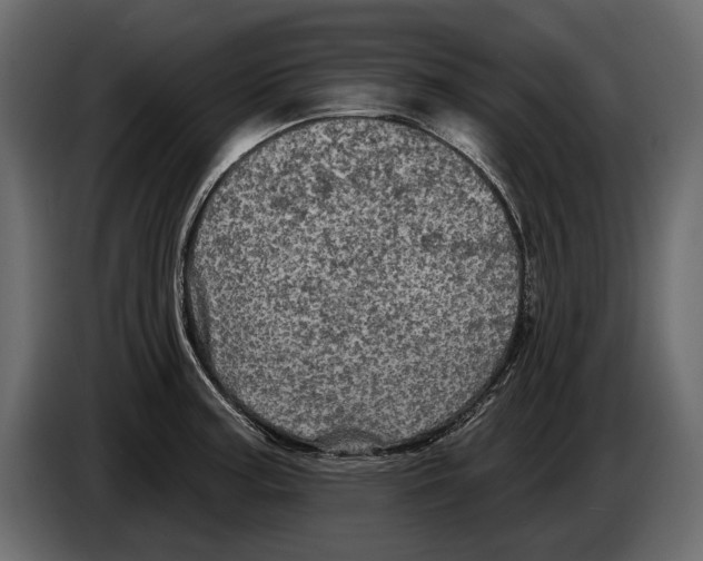 X0000084561187200703231752