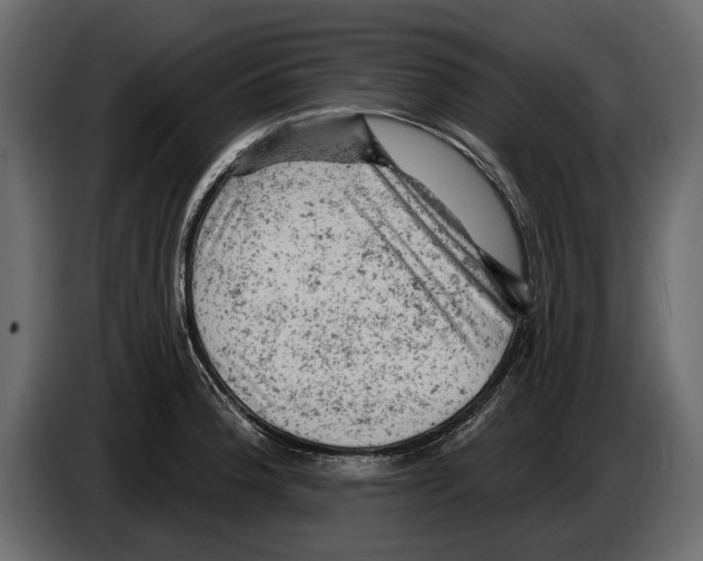 X0000084561188200703231752