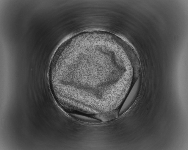 X0000084561189200703231752