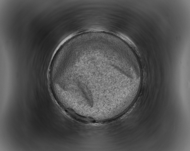 X0000084561190200703231752