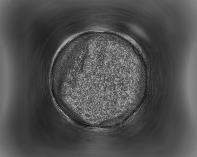 X0000084561191200703231752