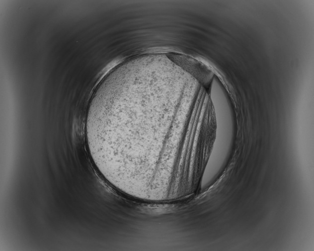 X0000084561193200703231752