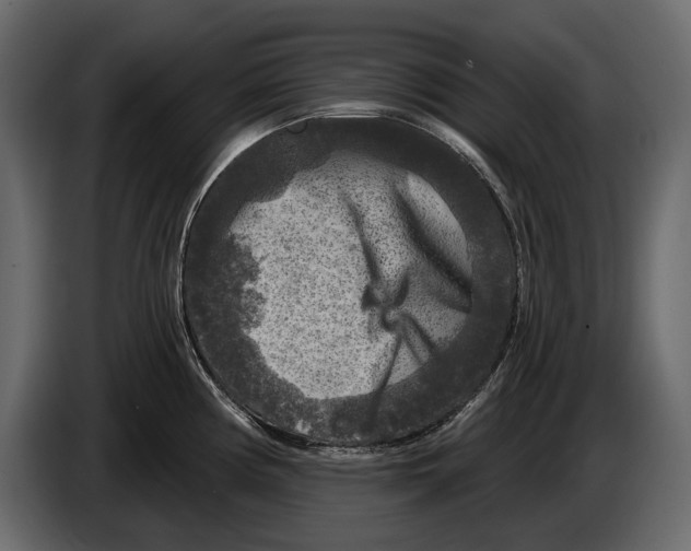 X0000084561194200703231752